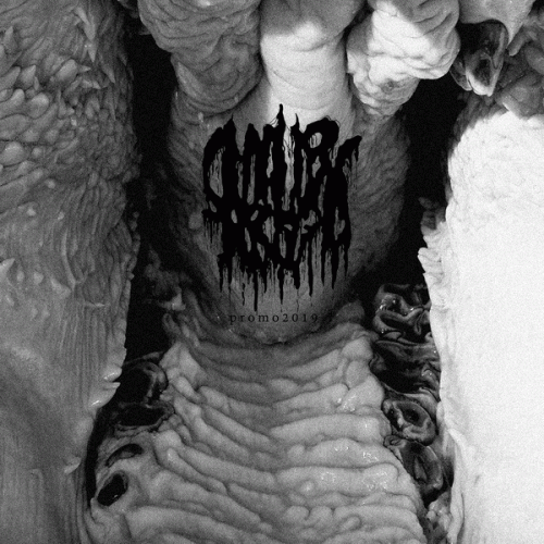 Smallpox Aroma : Promo 2019